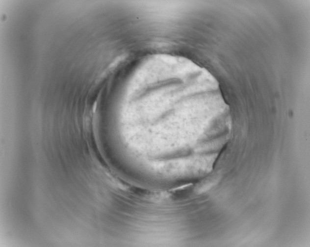 X0000088650576200706152010