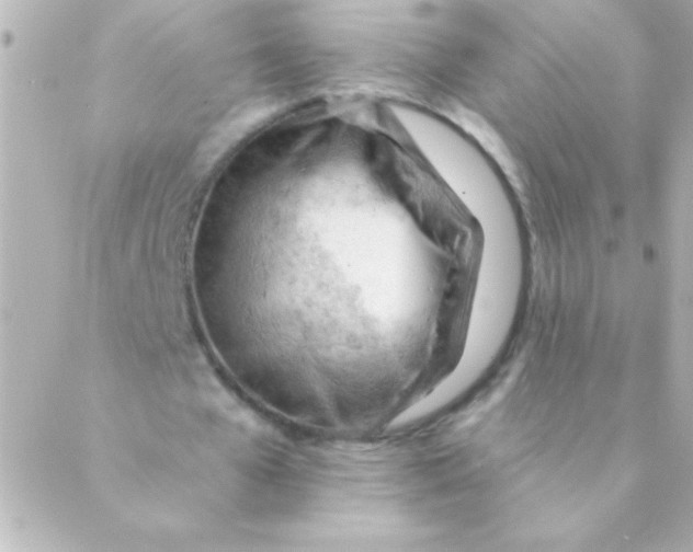 X0000088650577200706152010