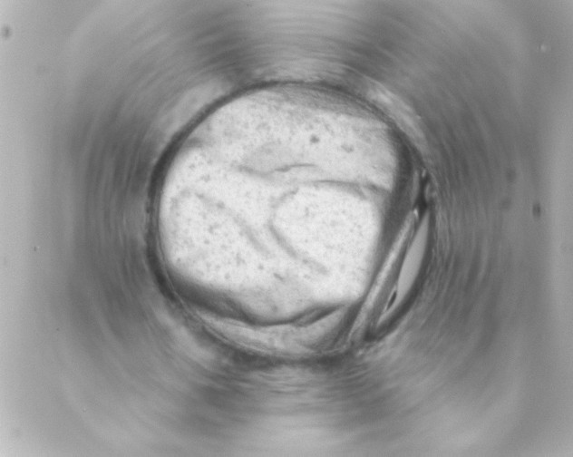 X0000088650578200706152010