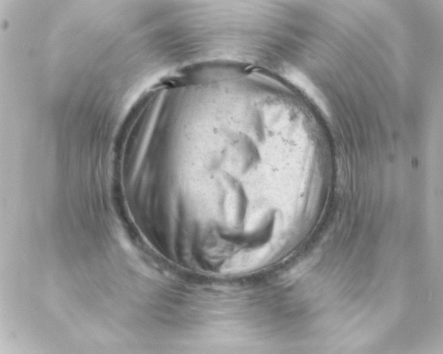 X0000088650580200706152010