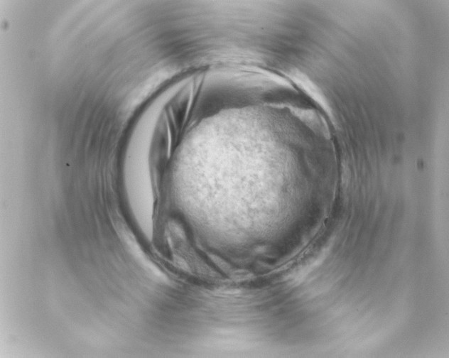 X0000088650581200706152010