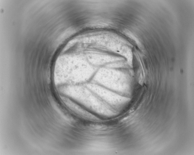 X0000088650582200706152010