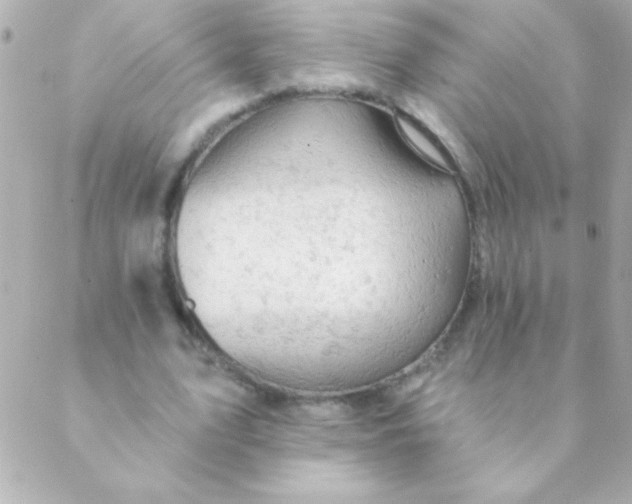 X0000088650583200706152010