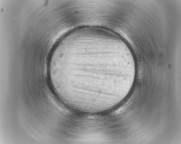 X0000088650584200706152009