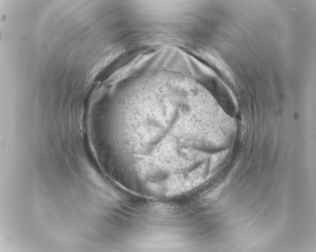 X0000088650585200706152009