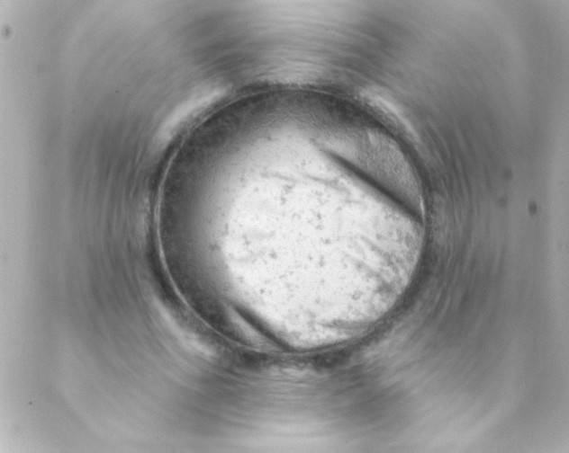 X0000088650586200706152009