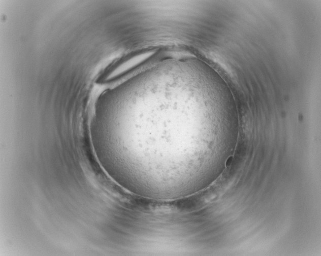 X0000088650587200706152009