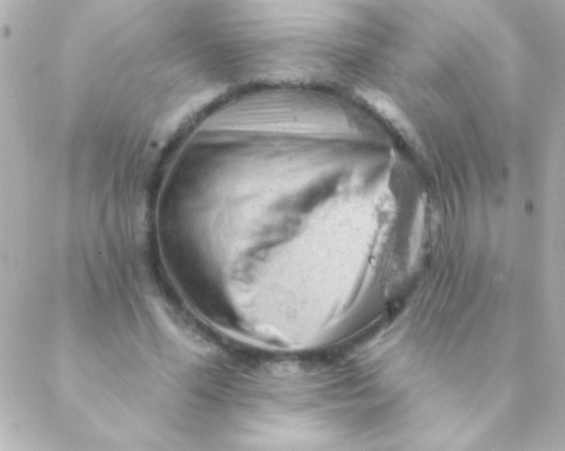 X0000088650588200706152009