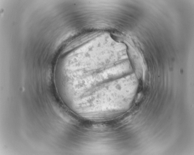 X0000088650591200706152009