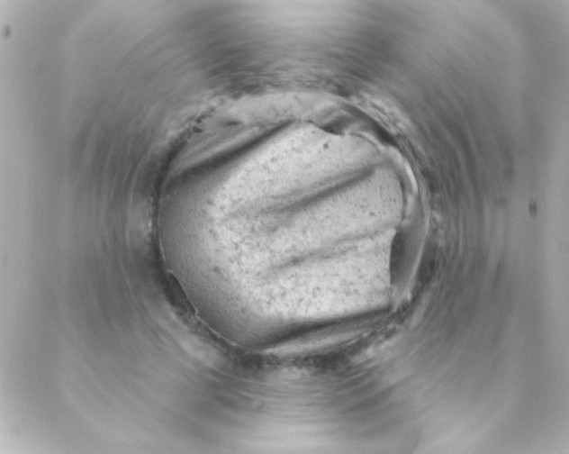 X0000088650593200706152009