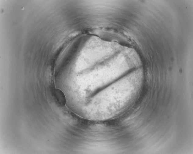 X0000088650594200706152009