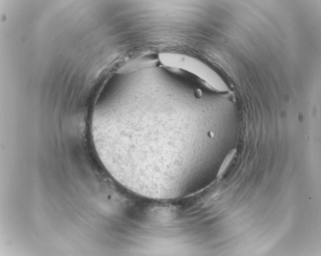 X0000088650595200706152009