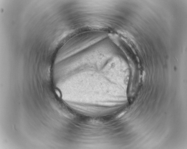 X0000088650596200706152009