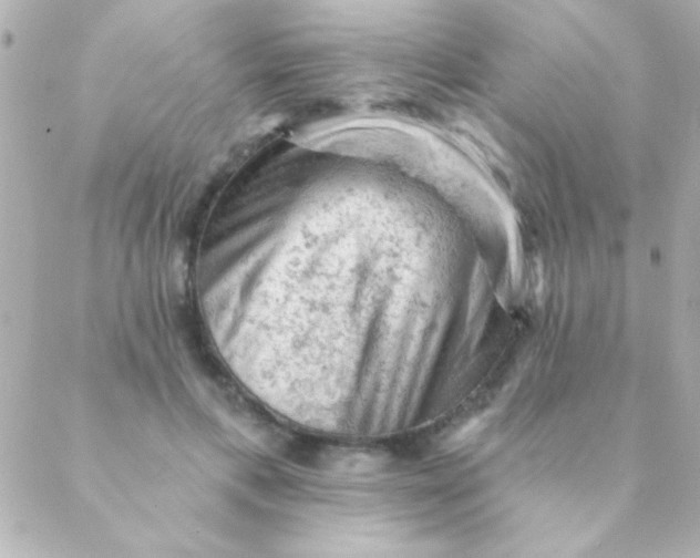 X0000088650597200706152009