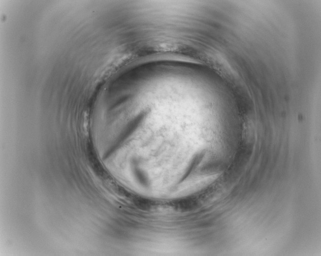 X0000088650598200706152009