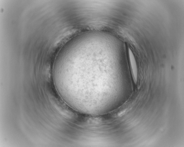 X0000088650599200706152009