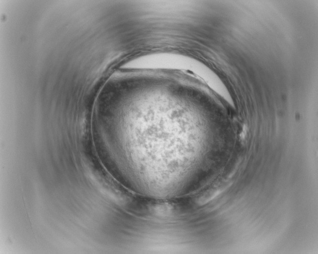 X0000088650600200706152009