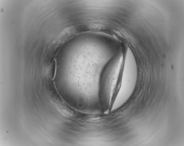 X0000088650601200706152009