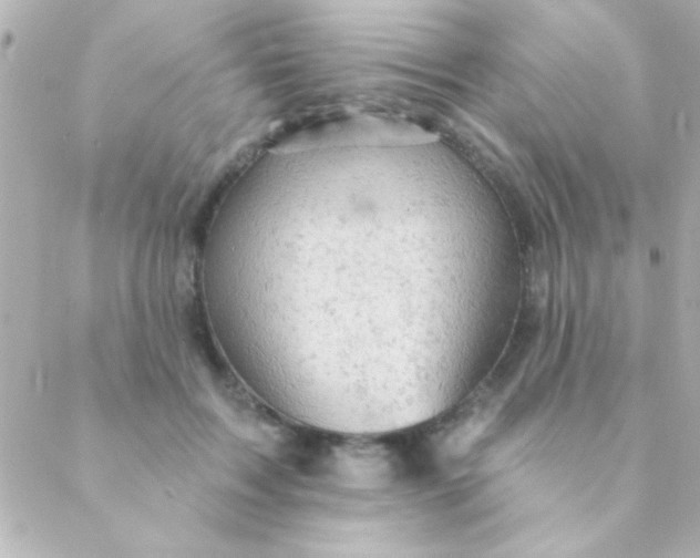 X0000088650603200706152009