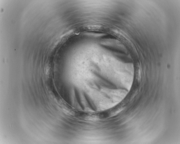 X0000088650604200706152009