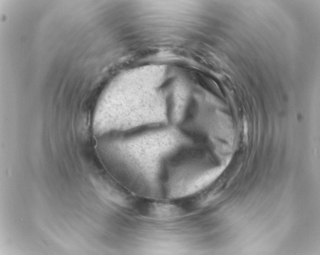 X0000088650605200706152009