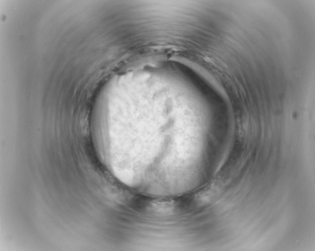 X0000088650606200706152009