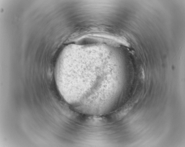 X0000088650607200706152009