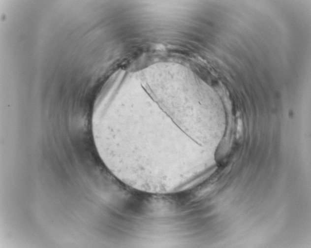 X0000088650608200706152009