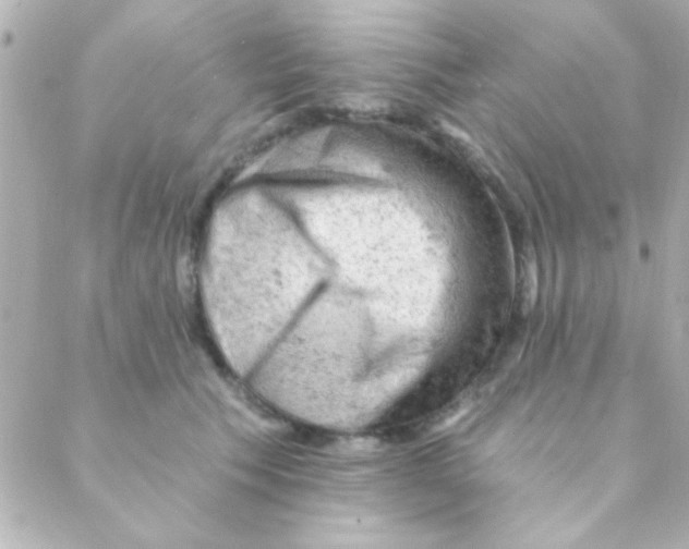 X0000088650609200706152009