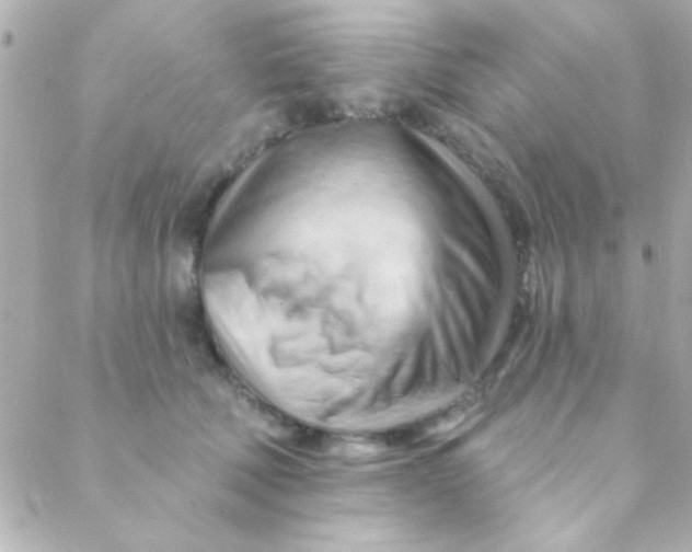 X0000088650610200706152009