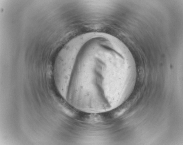 X0000088650612200706152009