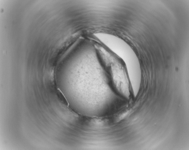 X0000088650613200706152009