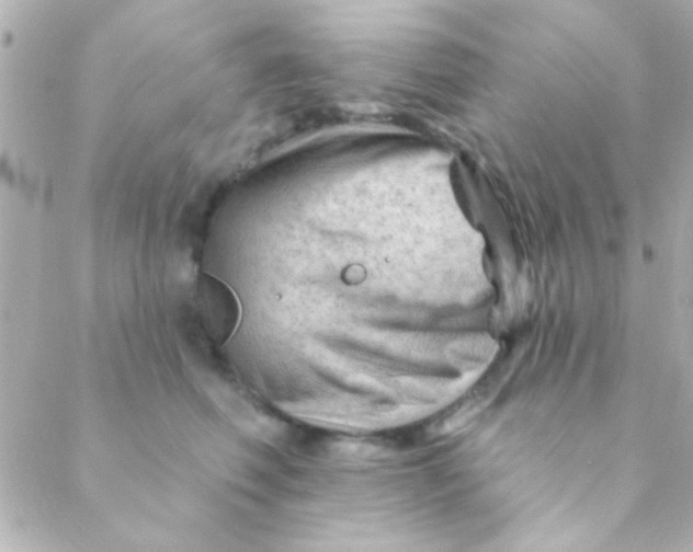 X0000088650614200706152009