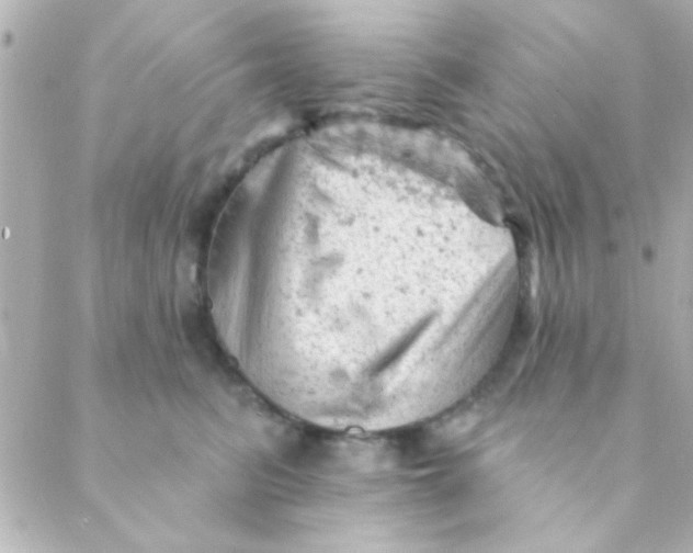 X0000088650615200706152009