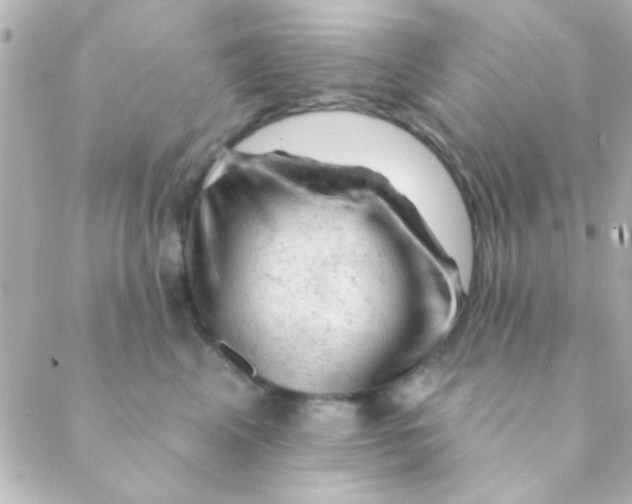 X0000088650617200706152009