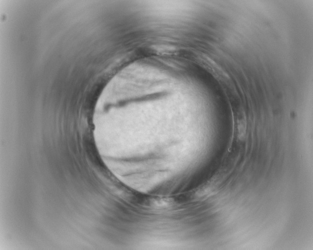 X0000088650618200706152009