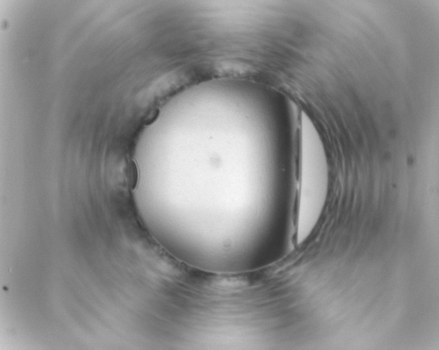 X0000088650619200706152009