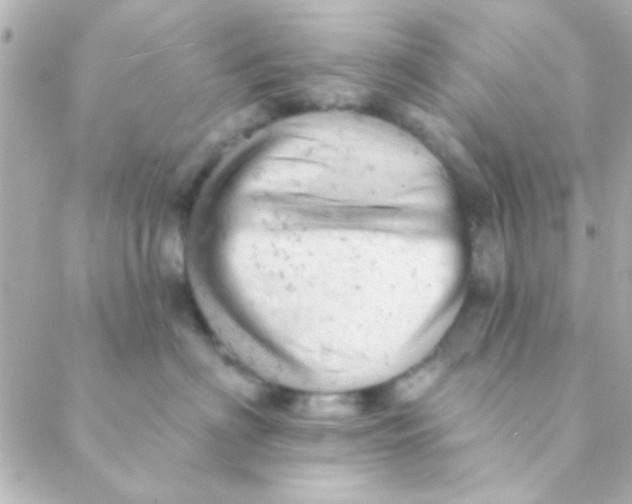 X0000088650622200706152009