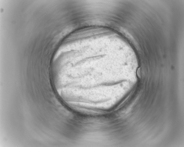 X0000088650625200706152008