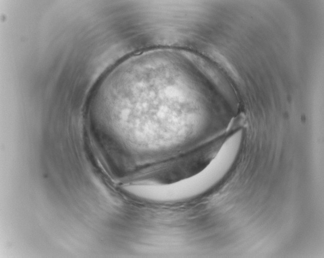 X0000088650626200706152008