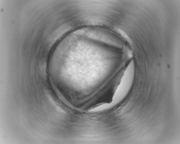 X0000088650627200706152008