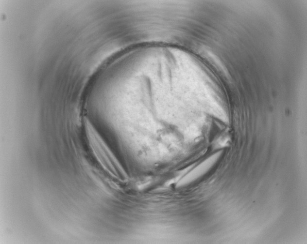 X0000088650628200706152008