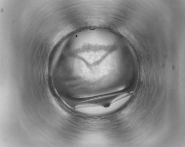 X0000088650630200706152008