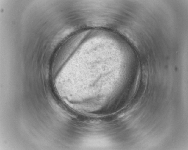 X0000088650631200706152008