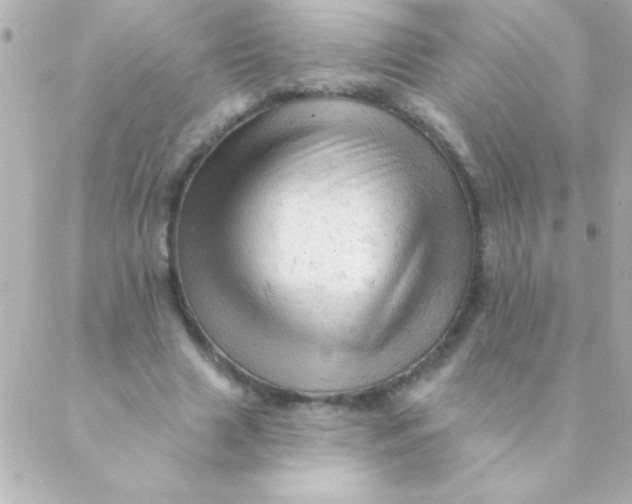 X0000088650633200706152008