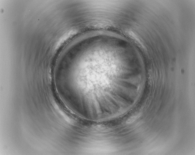 X0000088650634200706152008