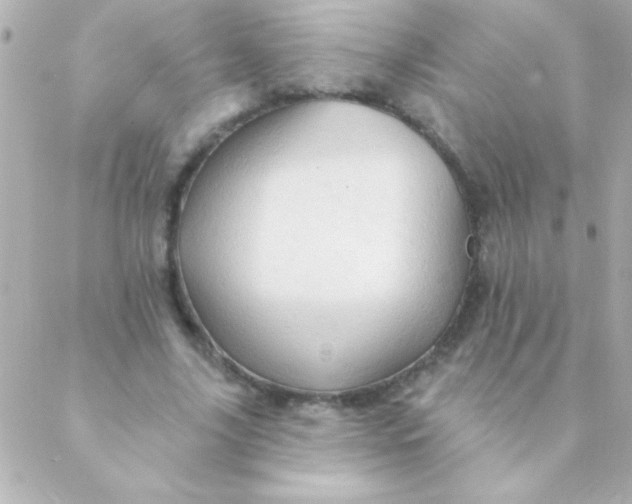 X0000088650635200706152008