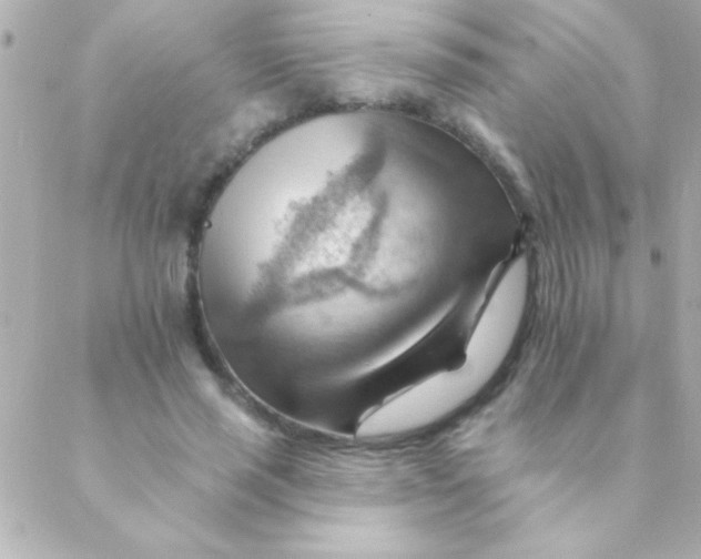 X0000088650637200706152008