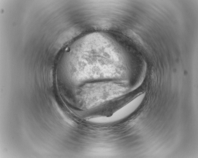 X0000088650638200706152008