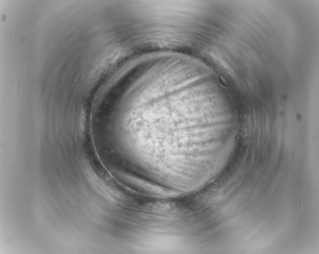 X0000088650639200706152008